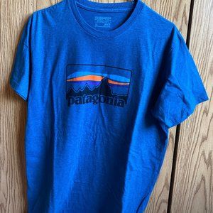 Patagonia Men's Slim Fit, Blue Mountain T-Shirt
